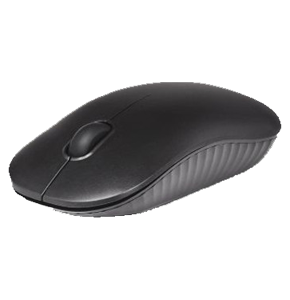 PROLINK Wireless Optical Mouse PMW5009-Black
